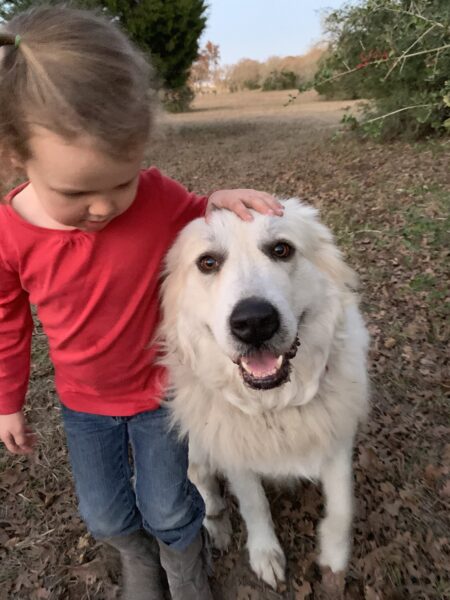 Young girl in a red shirt gently petting a friendly white dog in a grassy outdoor setting, surrounded by fallen leaves and trees, showcasing a warm bond between children and pets.